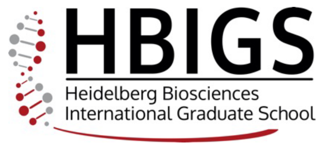 HBIGS Logo